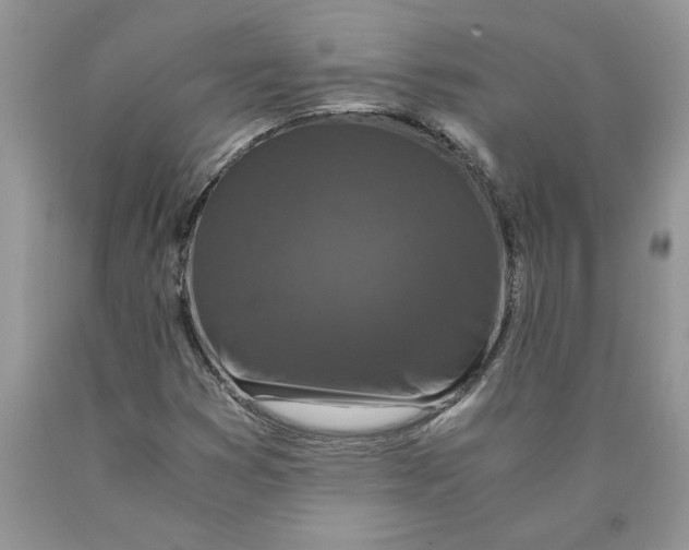 X0000089951353200707271831