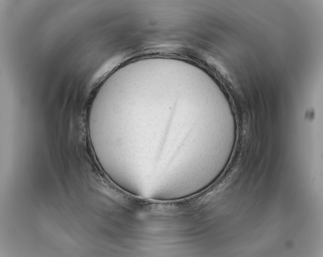 X0000089951354200707271831