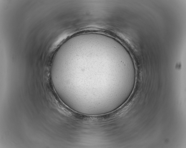 X0000089951355200707271831