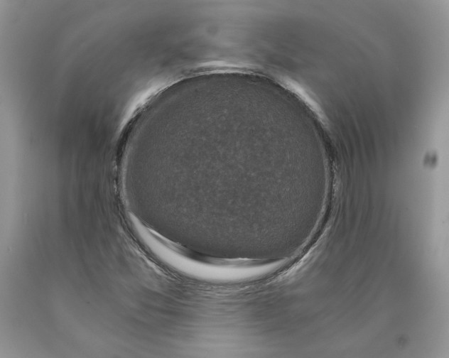 X0000089951357200707271831