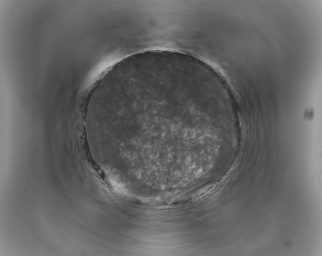 X0000089951359200707271831