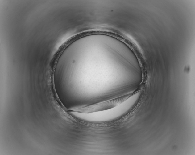 X0000089951360200707271831