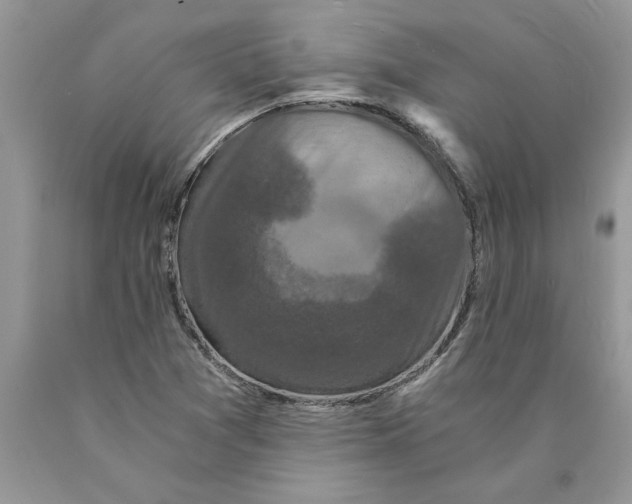 X0000089951361200707271831