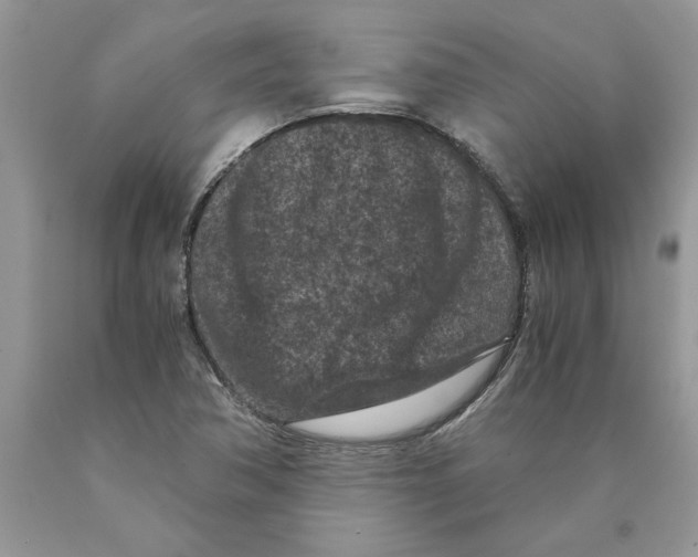 X0000089951362200707271831