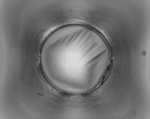 X0000089951363200707271831