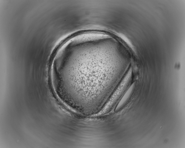 X0000089951364200707271831