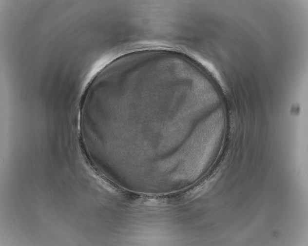 X0000089951365200707271831