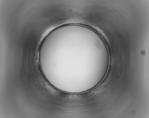 X0000089951366200707271831