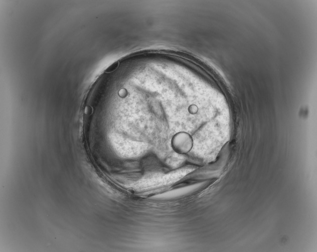 X0000089951367200707271831