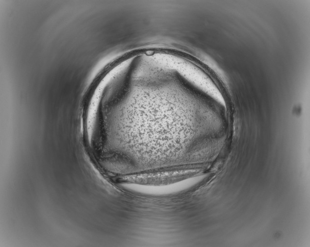 X0000089951368200707271831