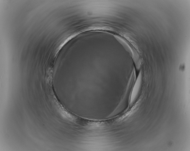 X0000089951369200707271831