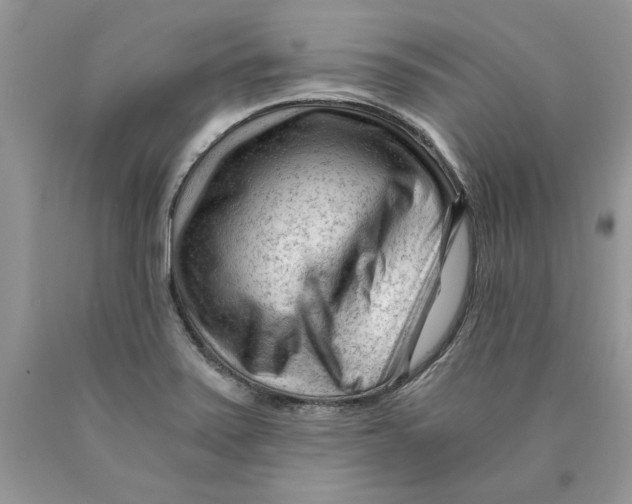 X0000089951371200707271831