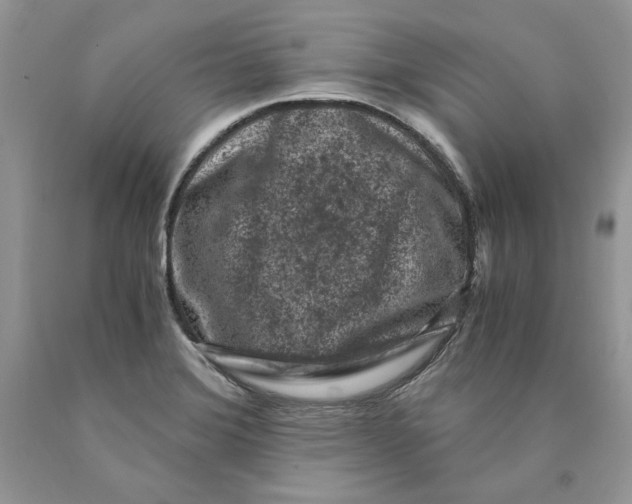 X0000089951372200707271831