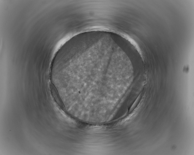 X0000089951373200707271831