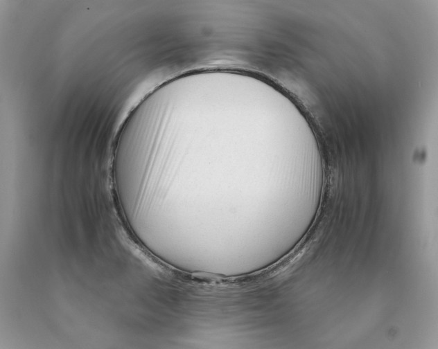 X0000089951374200707271831