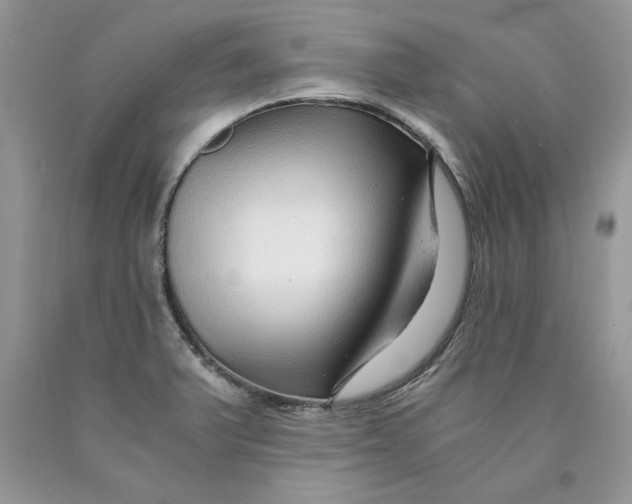 X0000089951375200707271831