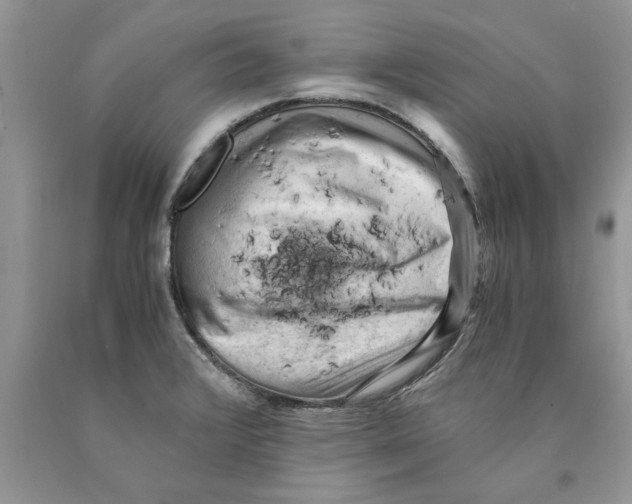 X0000089951376200707271831