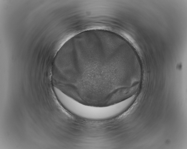 X0000089951377200707271831