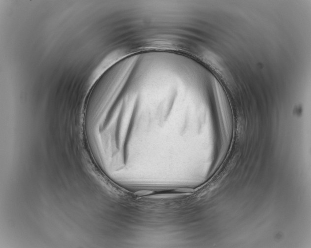 X0000089951378200707271831