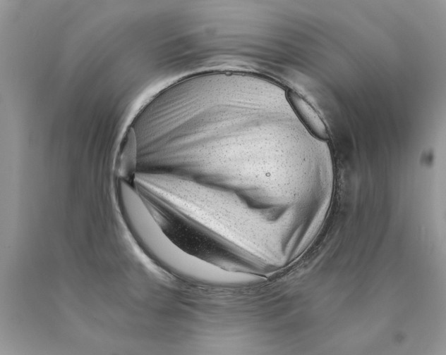 X0000089951379200707271831