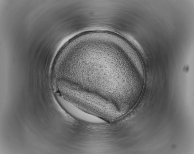 X0000089951380200707271831