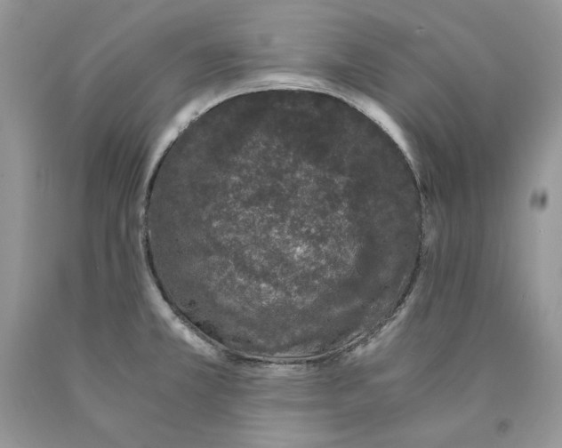 X0000089951381200707271831