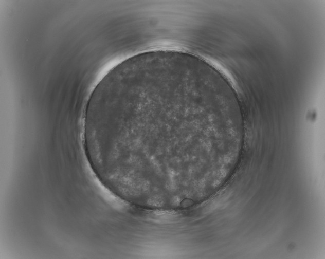 X0000089951383200707271831