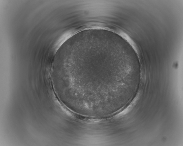 X0000089951385200707271831