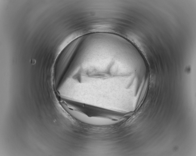 X0000089951386200707271830