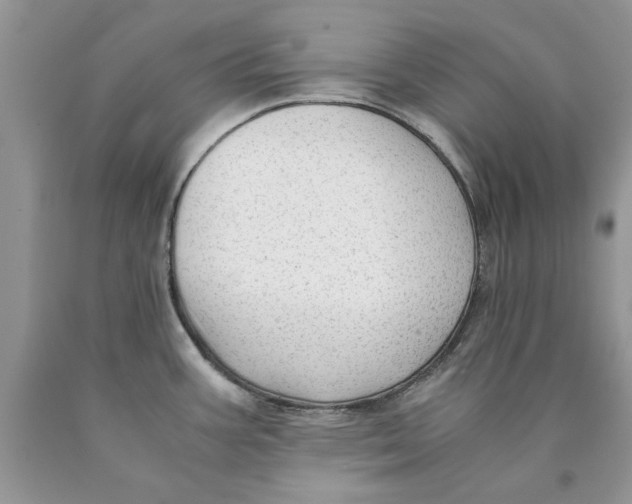 X0000089951387200707271830