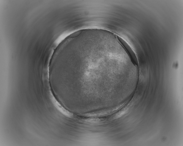 X0000089951388200707271830