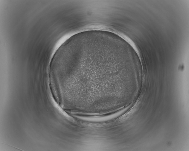 X0000089951389200707271830