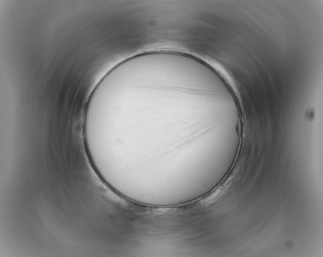 X0000089951390200707271830