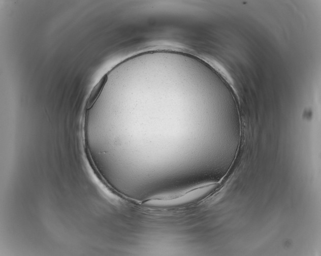 X0000089951391200707271830