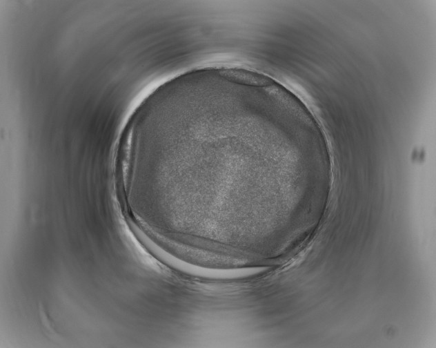 X0000089951392200707271830