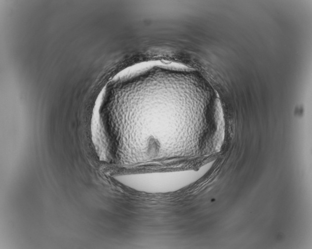 X0000089951393200707271829