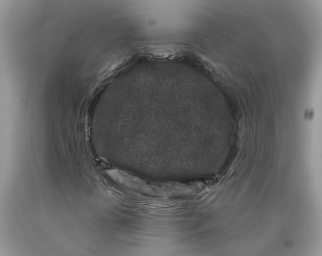 X0000089951394200707271829