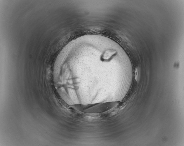 X0000089951395200707271830