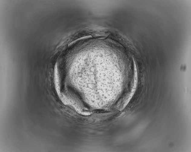 X0000089951397200707271830