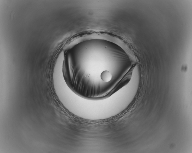 X0000089951398200707271830