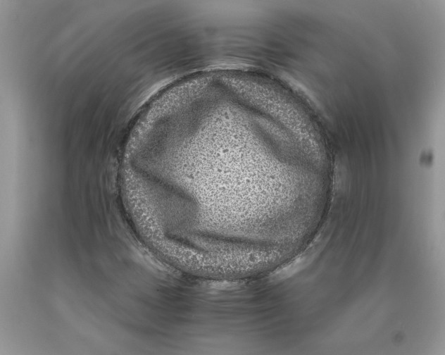 X0000089951401200707271830