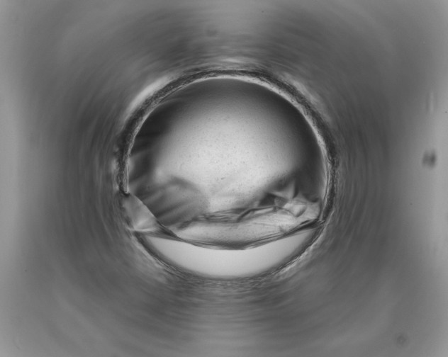 X0000089951402200707271830