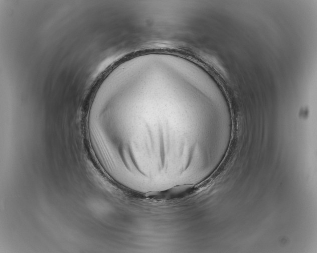 X0000089951404200707271830