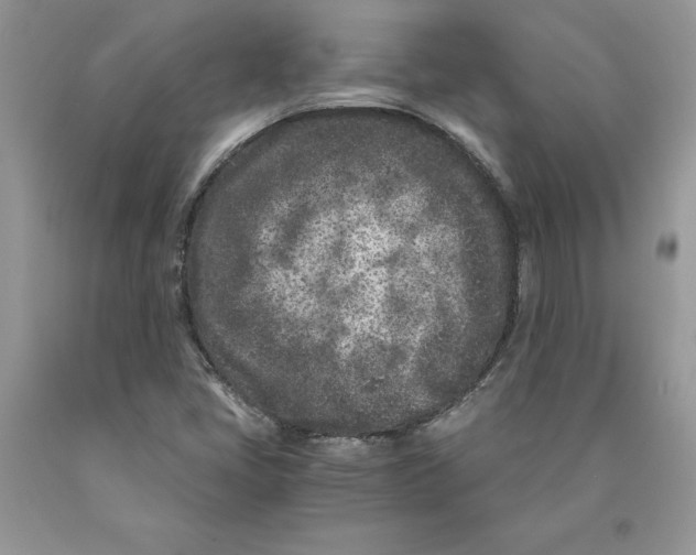 X0000089951405200707271830