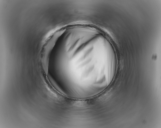 X0000089951406200707271830