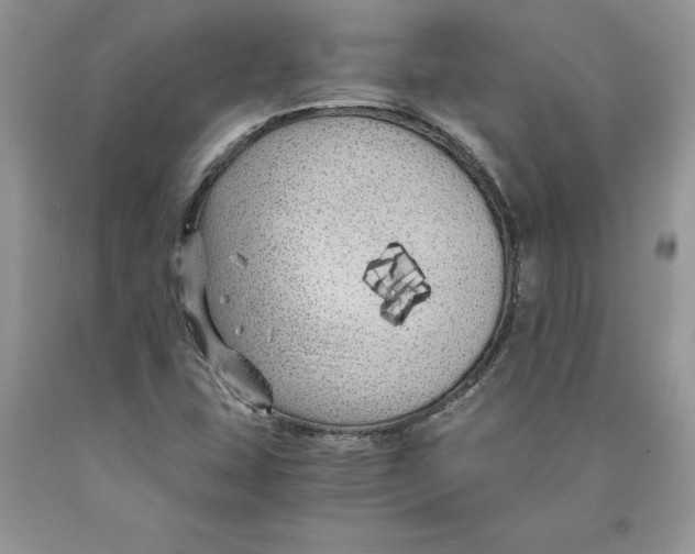 X0000089951407200707271830