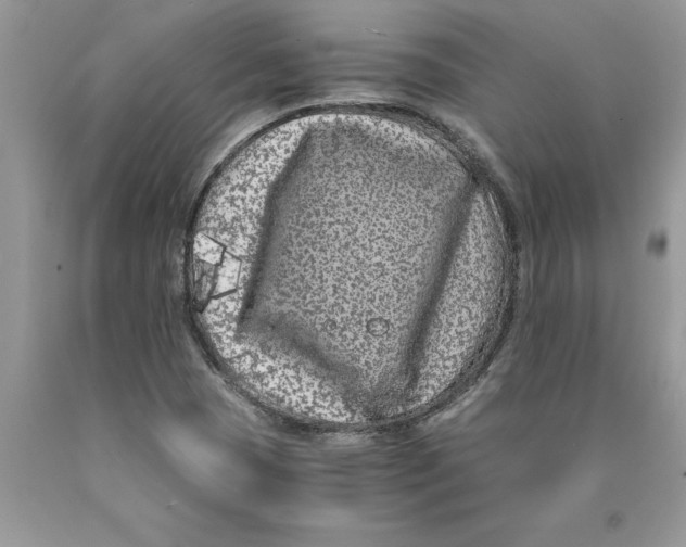 X0000089951409200707271830