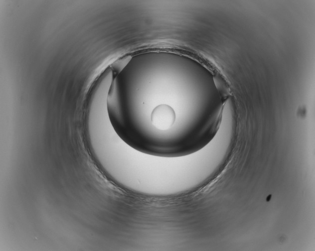 X0000089951410200707271830