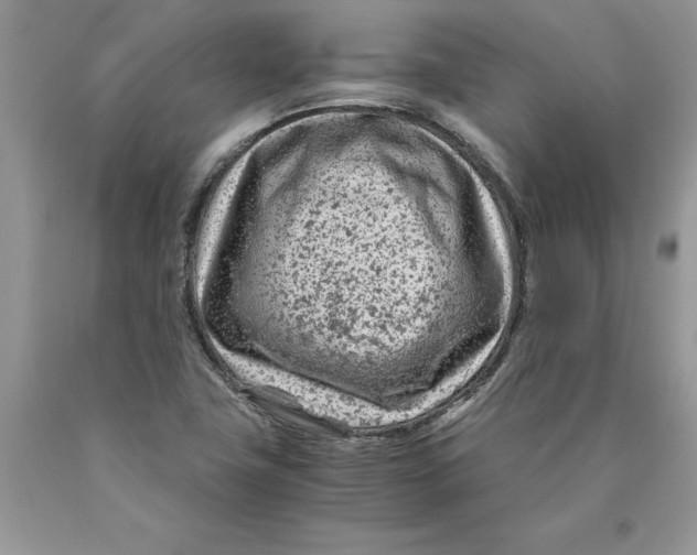 X0000089951411200707271830