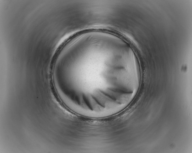 X0000089951412200707271830